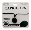 Capricorn Gem Necklace